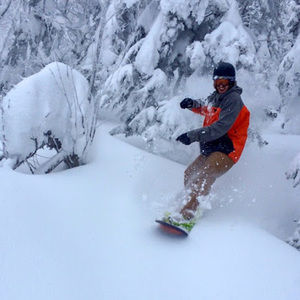 Meet your Posher, David